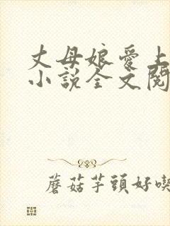 丈母娘爱上女婿小说全文阅读