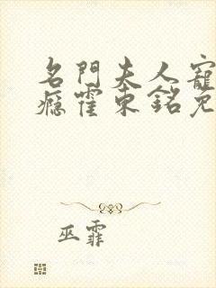 名门夫人宠妻成瘾霍东铭免费阅读