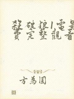 杀破狼1电影免费完整观看国语