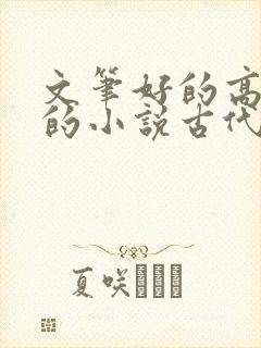 文笔好的高质量的小说古代言情