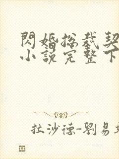 闪婚总裁契约妻小说完整下载