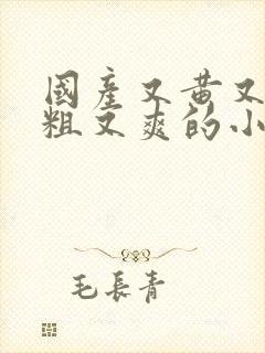 国产又黄又猛又粗又爽的小说网站