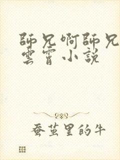 师兄啊师兄黄改云霄小说