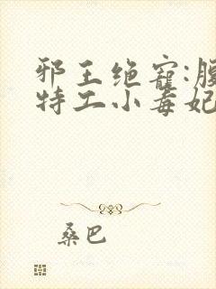 邪王绝宠:腹黑特工小毒妃