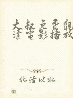 大叔免费观看高清电影播放