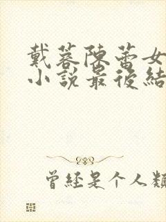 戴蓉陈蕾女婿的小说最后结局