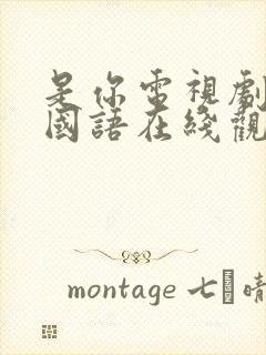 是你电视剧泰剧国语在线观看