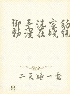 御手洗家的破洞动漫在线观看完整版