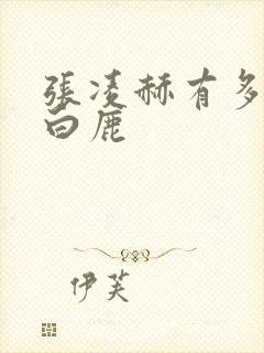 张凌赫有多喜欢白鹿