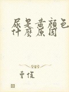 尿是黄颜色的是什么原因