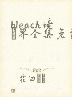 bleach境·界全集免费观看
