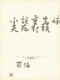 小说重生嫁给前夫死对头