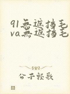 91无遮挡毛片va无遮挡毛片