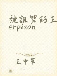 被诅咒的王子derpixon封面