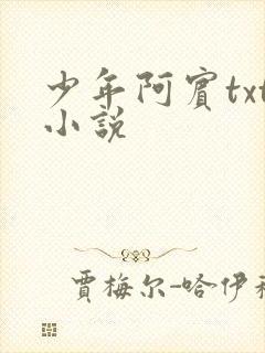 少年阿宾txt小说