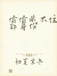 偷偷藏不住段嘉许身份封面