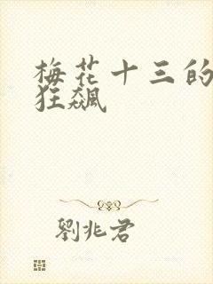 梅花十三的乳液狂飙