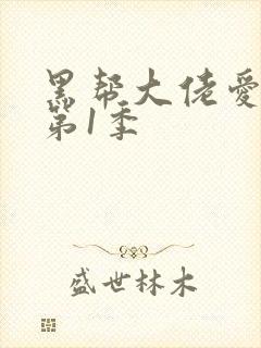 黑帮大佬爱上我第1季