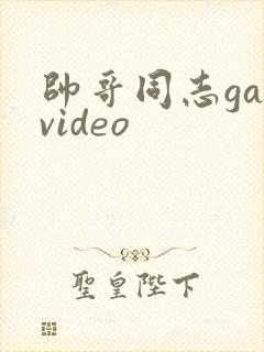 帅哥同志gayvideo