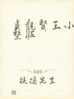 贞观贤王小说完整版封面