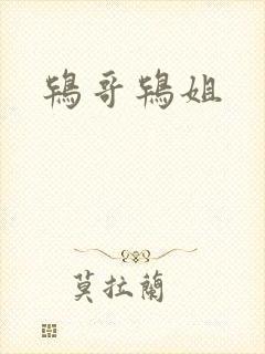 鸨哥鸨姐