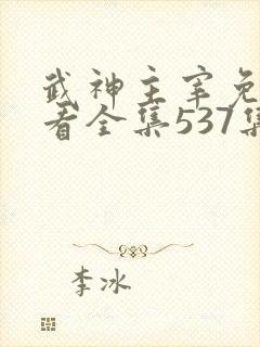 武神主宰免费观看全集537集