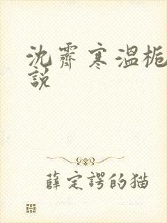 沈霁寒温栀妍小说