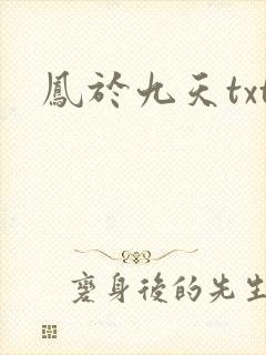 凤于九天txt