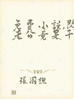 免费小说,闪婚老公竟是千亿总裁