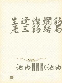 生逢灿烂的日子老三的结局