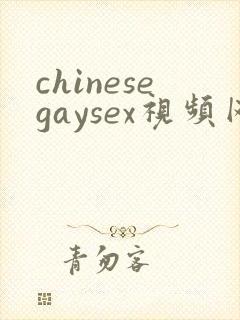 chinesegaysex视频网站