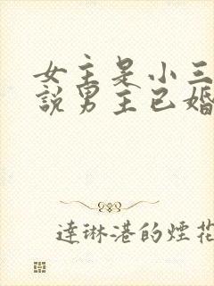 女主是小三的小说男主已婚是高干