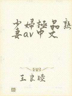 少妇极品熟妇人妻av中文