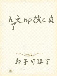 h文np挨c爽了