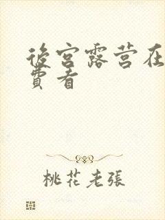 后宫露营在线免费看