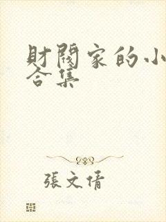 财阀家的小儿子合集