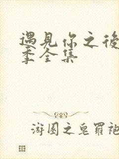 遇见你之后第一季全集