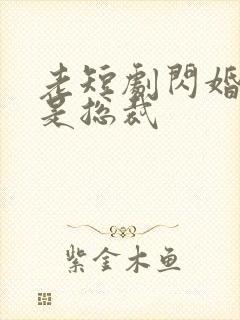 老短剧闪婚老公是总裁