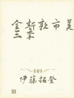 金斯敦市美剧第三季