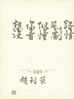 想你似风路过我没看懂剧情封面