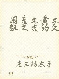 国产又黄又猛又粗又爽的久久久