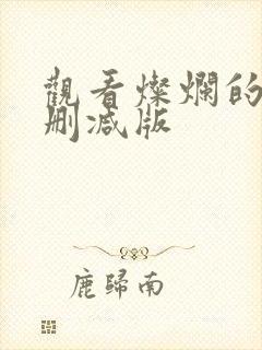 观看灿烂的她未删减版