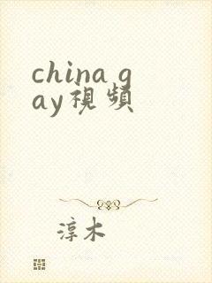 china gay视频