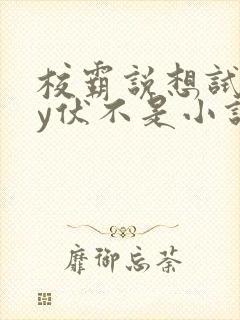 校霸说想试试by伏不是小说免费阅读