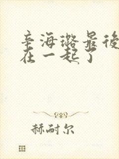 辛海璐最后和谁在一起了封面