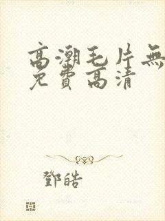 高潮毛片无遮挡免费高清