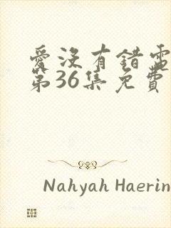 爱没有错电视剧第36集免费观看