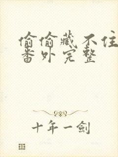 偷偷藏不住结婚番外完整