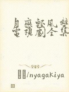 月恋轻风双男主电视剧全集免费观看