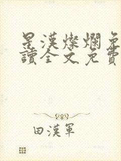 星汉灿烂免费阅读全文免费阅读正版封面